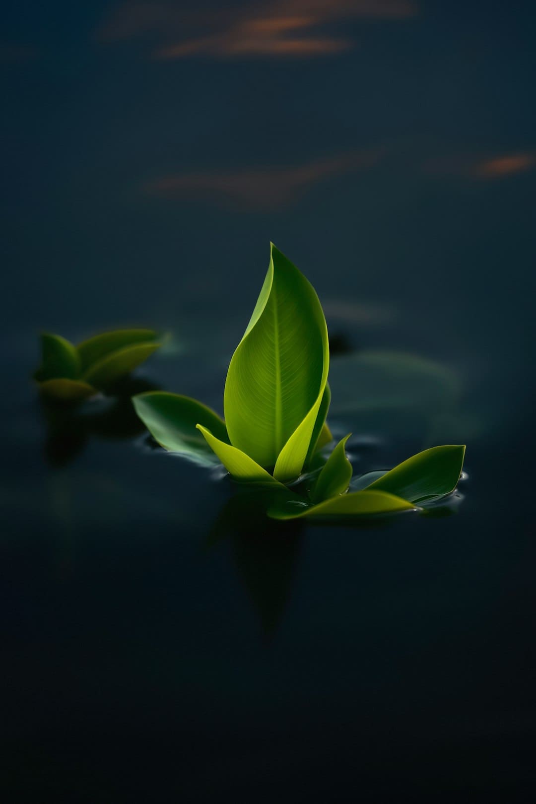 鲤城5个小区完结改造！总算“有水”了！